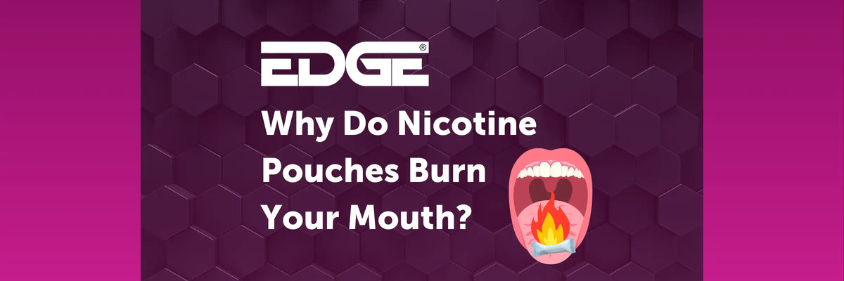 Why Nicotine Pouches Burn Your Gums | Help & Advice EDGE Vaping Why Nicotine Pouches Burn Your Gums | Help & Advice EDGE Vaping