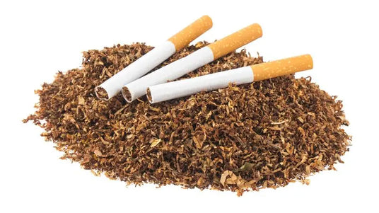 Stock image of cigarettes on pile of tobacco