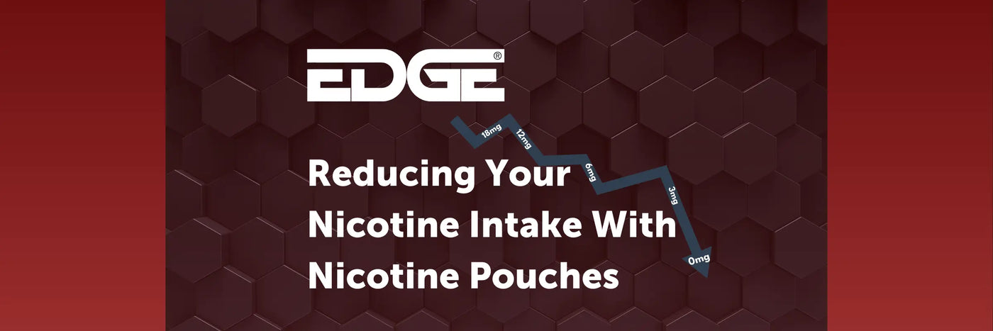 Reduce Nicotine Intake With Pouches - Blog Banner