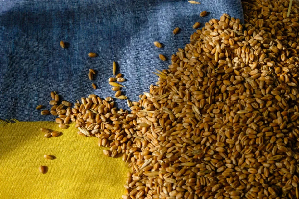 Ukraine Grain & Rising Inflation