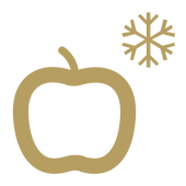 EDGE Fruit Ice Icon in Gold.