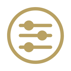 Adjustment Icon in Gold