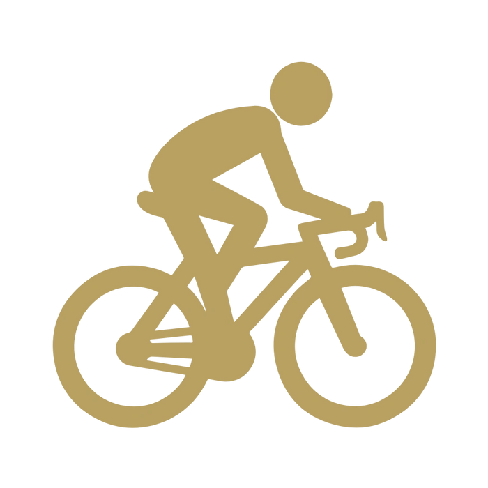 Cycling Icon in Gold